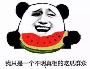 怎样成为吃瓜达人,如何成为娱乐圈的“瓜王”